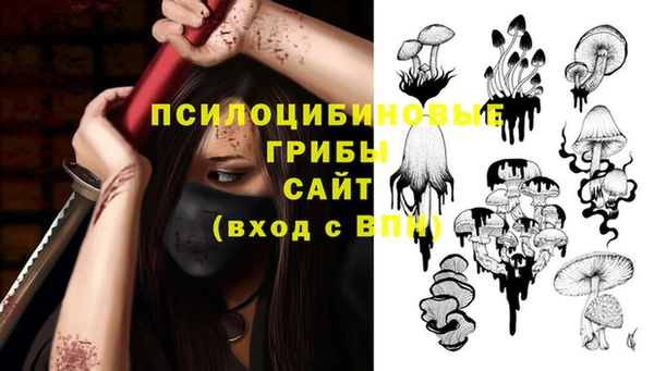 apvp Алзамай